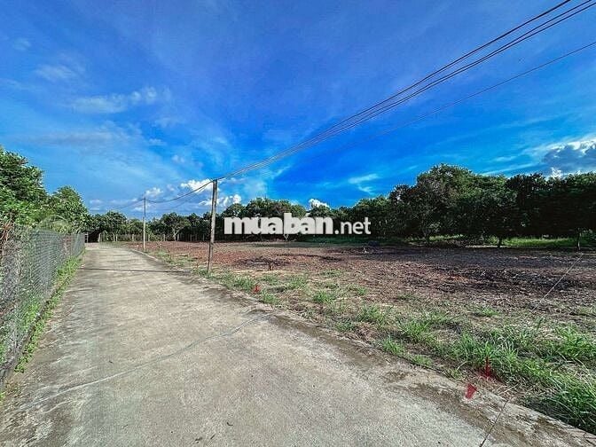 Đất nền P. Bình Lộc, Đồng Nai, tiện ích xung quanh đầy đủ.