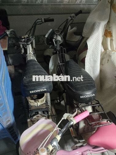 Honda Chaly màu Trắng