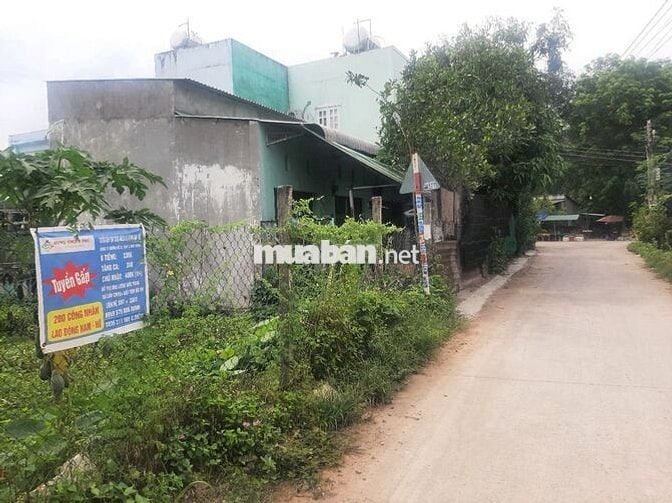 Bán nhà cấp 4 + kho hàng nhỏ 380m2, , Đường DX38