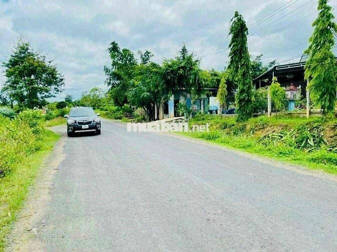 CHÍNH CHỦ, BÁN LÔ ĐẤT: 60 x 70m (TỔNG CỘNG: 4.500m2, ĐÃ CẮT RA 4 SỔ).