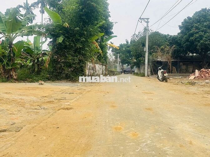 755,6M2 TRỤC CHÍNH ĐỒNG VÀNG, PHÚ MÃN; CHỈ 1XTR/M2