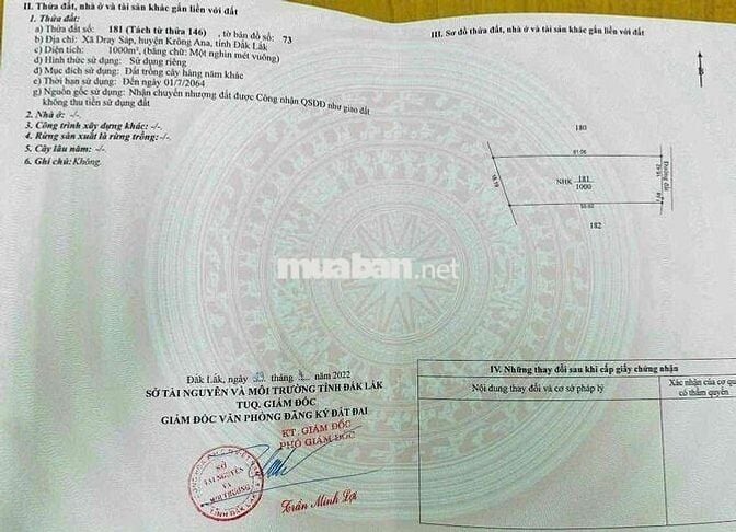 CHÍNH CHỦ, BÁN LÔ ĐẤT: 60 x 70m (TỔNG CỘNG: 4.500m2, ĐÃ CẮT RA 4 SỔ).