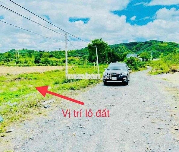 CHÍNH CHỦ, BÁN LÔ ĐẤT: 60 x 70m (TỔNG CỘNG: 4.500m2, ĐÃ CẮT RA 4 SỔ).