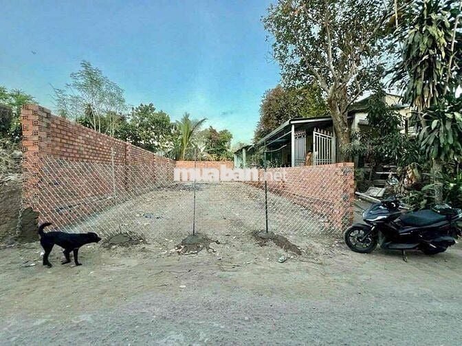 Bán Đất Biệt Thự Mini Phường Hiệp Hoà ( Trấn Biên )