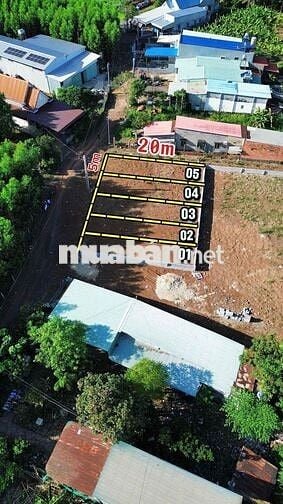 BÁN ĐẤT SÔNG TRẦU ẤP 6 GIÁ CHÍNH CHỦ