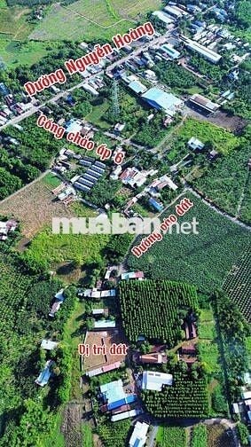 BÁN ĐẤT SÔNG TRẦU ẤP 6 GIÁ CHÍNH CHỦ