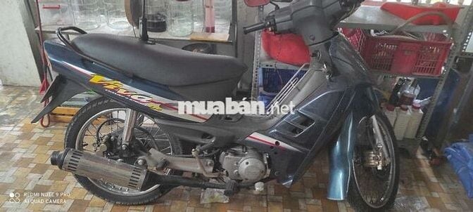 ViVa số lùi, bstp , phong thủy