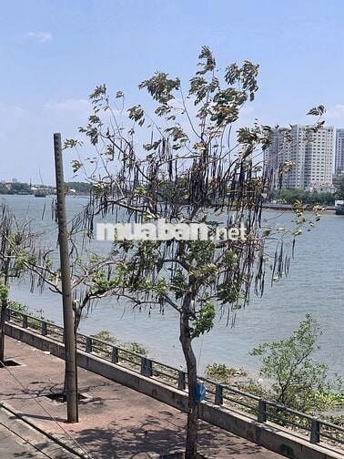 Chung cư ven sông - Giờ giấc tự do - Thanh Đa - Căn độc lập