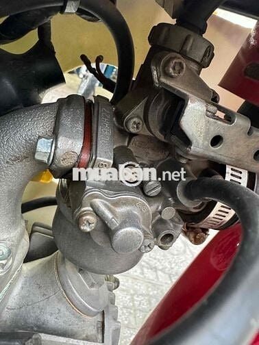 rim thái mới dọn hết 30 củ giờ sả lỗ