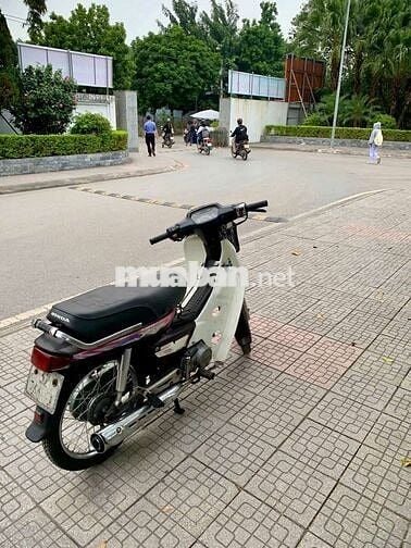 Dream nùn Nhật máy chất ngon