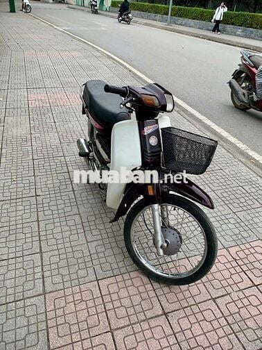 Dream nùn Nhật máy chất ngon