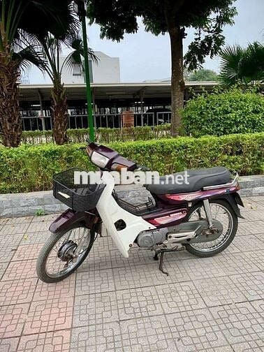 Dream nùn Nhật máy chất ngon