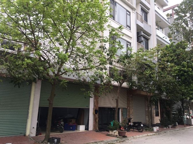 Bán đất liền kề Dương Nội giá đầu tư: Diện tích 50m2, giá 11 tỷ