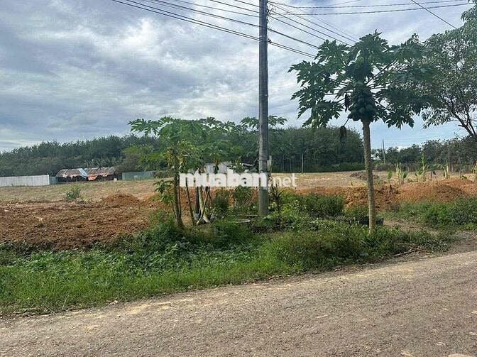 Đất sẵn thổ cư 100m dân cư hiện hữu giá rẻ