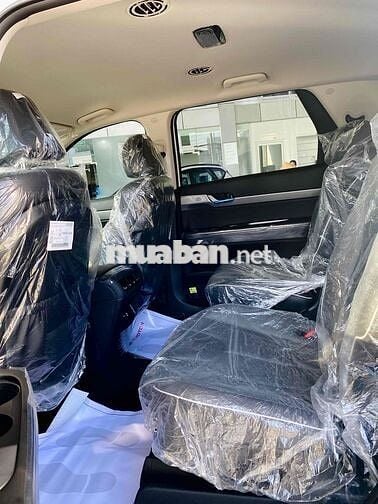 Palisade  GIÁ LĂN BÁNH THẤP HƠN GIÁ CHUẨN