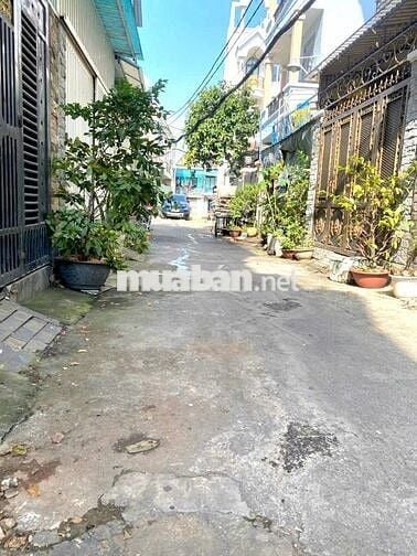 Nhà thuê đẹp Gò Vấp 4PN Sân thượng💥Hẻm xe hơi Quang Trung💥Phường 14