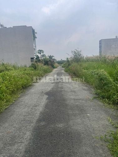 Bán đất chính chủ tại Quận 9, TP.HCM – vị trí đẹp, giá tốt