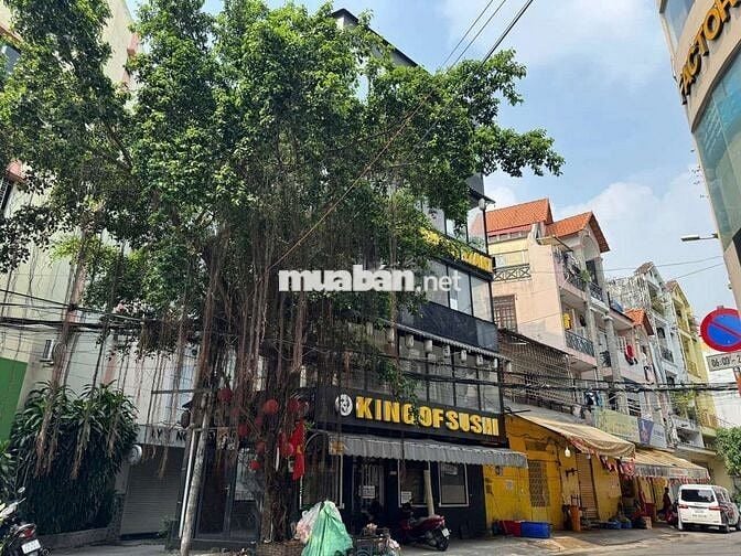 ⛩️7,9mx6,1m⛩️Góc 2MT Hoa Sữa P.7 Q.Phú Nhuận❌️Cách Phan Xích Long 100m