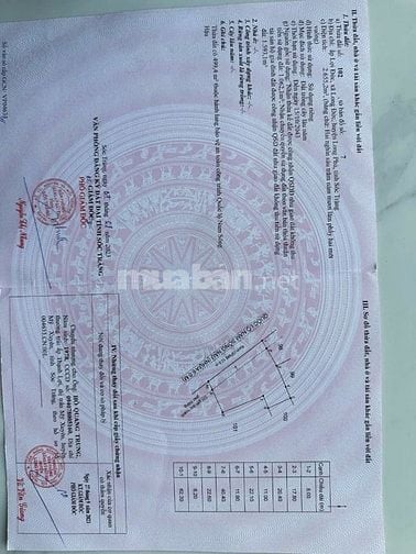 Bán đất mặt tiền Nam Sông Hậu 6triệu500/m2