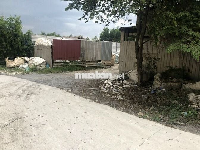 CHÍNH CHỦ BÁN NHÀ XƯỞNG 20X52, ĐIỆN 3P TI250. BÌNH CHÁNH,TPHCM