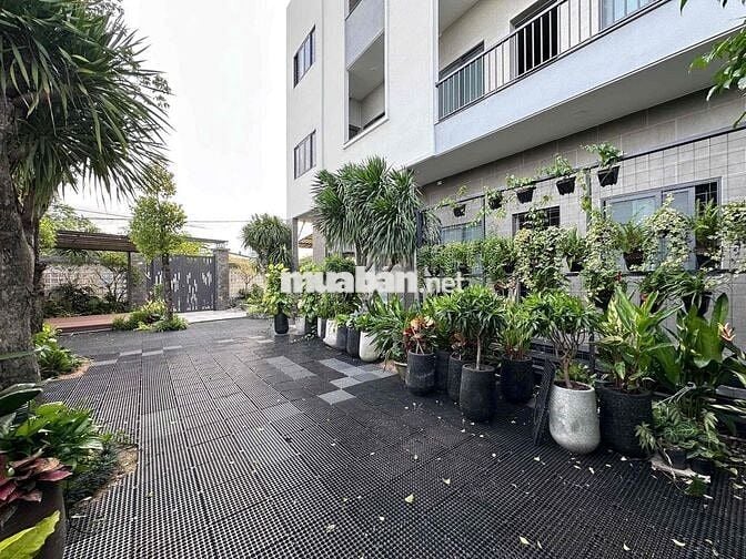 💕KHAI TRƯƠNG SIÊU PHẨM DUPLEX SÂN VƯỜN FULL NỘI THẤT BÓC SEAL