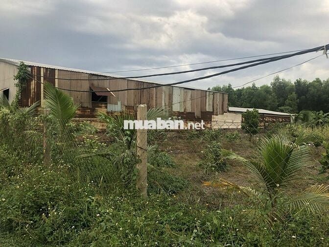 CHÍNH CHỦ BÁN NHÀ XƯỞNG 20X52, ĐIỆN 3P TI250. BÌNH CHÁNH,TPHCM