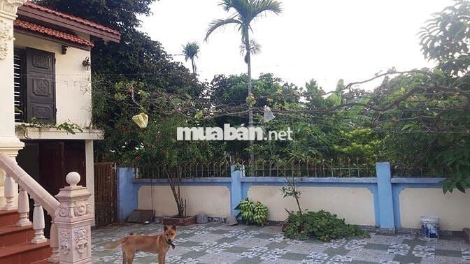 ĐẤT ĐẸP chính chủ cần bán nhanh lô đất tại huyện An Lão, TP Hải Phòng