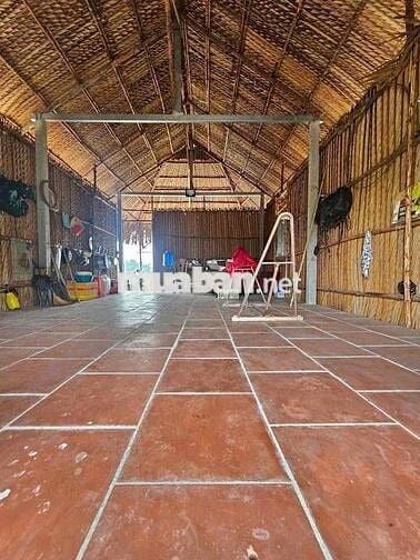 e chính chủ cần bán nhà vườn thới tam thôn hóc môn.