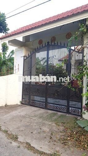 ĐẤT ĐẸP chính chủ cần bán nhanh lô đất tại huyện An Lão, TP Hải Phòng