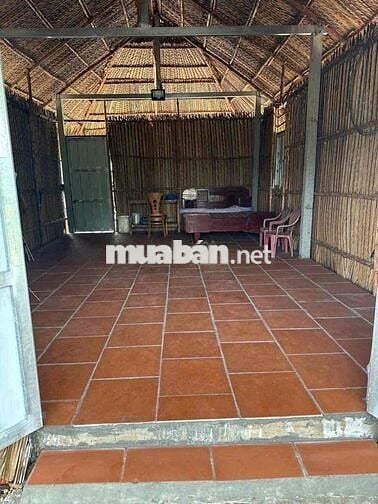 e chính chủ cần bán nhà vườn thới tam thôn hóc môn.