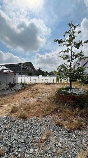 Đất nền mặt tiền HL12 có 250m2 thổ cư xã Mỹ Thạnh, Ba Tri