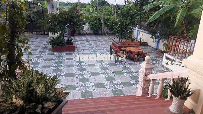 ĐẤT ĐẸP chính chủ cần bán nhanh lô đất tại huyện An Lão, TP Hải Phòng