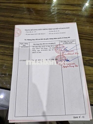 Nợ nần cần bán lúa non mua từ 2021