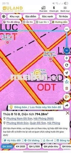 Nợ nần cần bán lúa non mua từ 2021