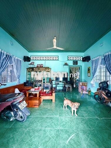 Cần bán gấp căn nhà ở Đ. Hồ Văn Tắng , Củ Chi 188m2 SHR giá 1 tỉ 100tr