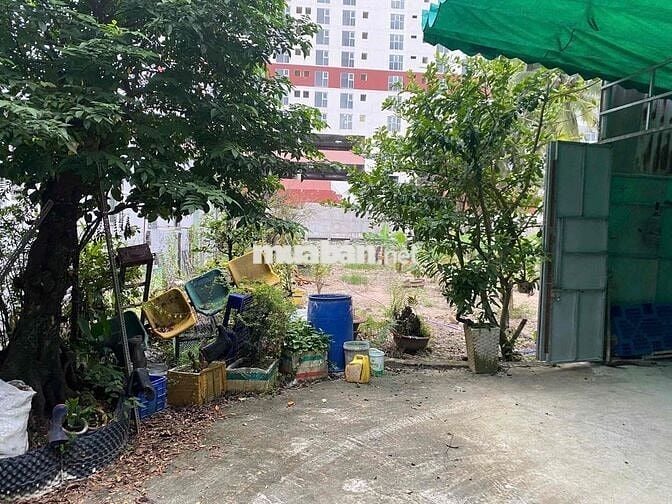 bán đất mặt tiền Vĩnh phú 04 , thổ cư 200m