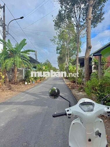 ĐÂT MẶT TIÊN HUYỆN 92 B - ĐẠO THẠNH MỸ THO