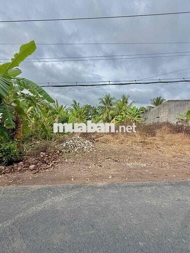 ĐÂT MẶT TIÊN HUYỆN 92 B - ĐẠO THẠNH MỸ THO