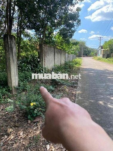 QUÁ RẺ- ĐẤT TPHCM- DÂN CƯ ĐÔNG