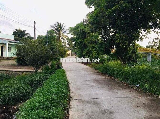 CẦN BÁN 128.8M2 ĐẤT XÃ THẠNH LỘC CÁCH TUYẾN CHÁNH 900M