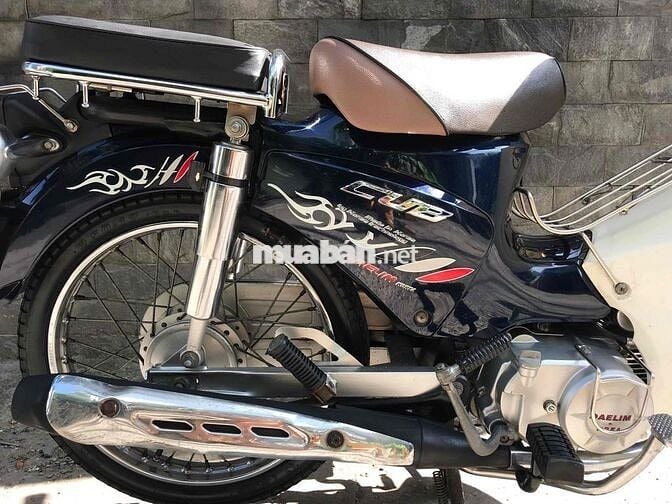 Halim Cub 50cc 2021 học sinh biển TP.HCM