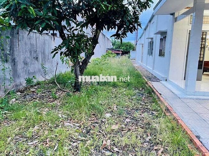 🔥 ĐẤT MẶT TIỀN TRƯƠNG THỊ KIỆN – VỊ TRÍ VÀNG GIỮA KHU DÂN CƯ ĐÔNG ĐÚC