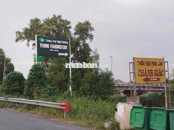 Đất cln đang trồng khóm, có thể làm khu homestay