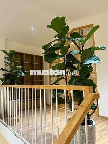 NHÀ ĐẸP MẶT TIỀN LÊ QUANG SUNG, THANH KHÊ