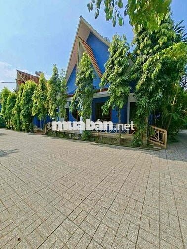 Căn hộ Mini gần Đại Học Thủ Dầu Một full nội thất Wiffi miễn phí