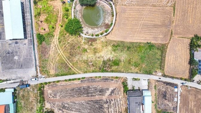 🔥 HÀNG ĐẸP BẾN LỨC – MẶT TIỀN 4 LÀN – GIÁ CHỦ HẠ SỐC! KHÔNG XEM LÀ MẤ