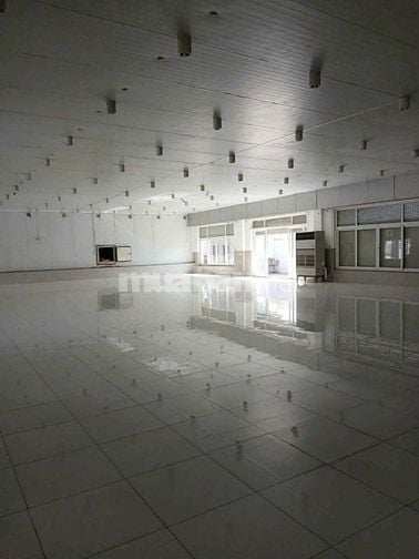 Kho Xưởng cao cấp cho thuê 5200m2 - Mặt tiền Dương Đình Cúc Bình Chánh
