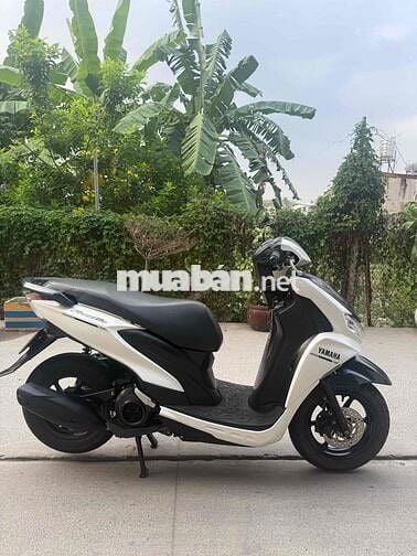 Freego 2019 cavet theo xe giấy tờ đầy đủ bao đẹp