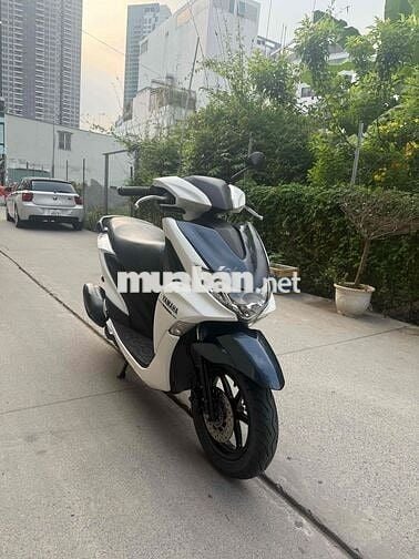 Freego 2019 cavet theo xe giấy tờ đầy đủ bao đẹp