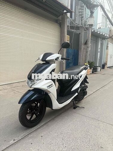 Freego 2019 cavet theo xe giấy tờ đầy đủ bao đẹp